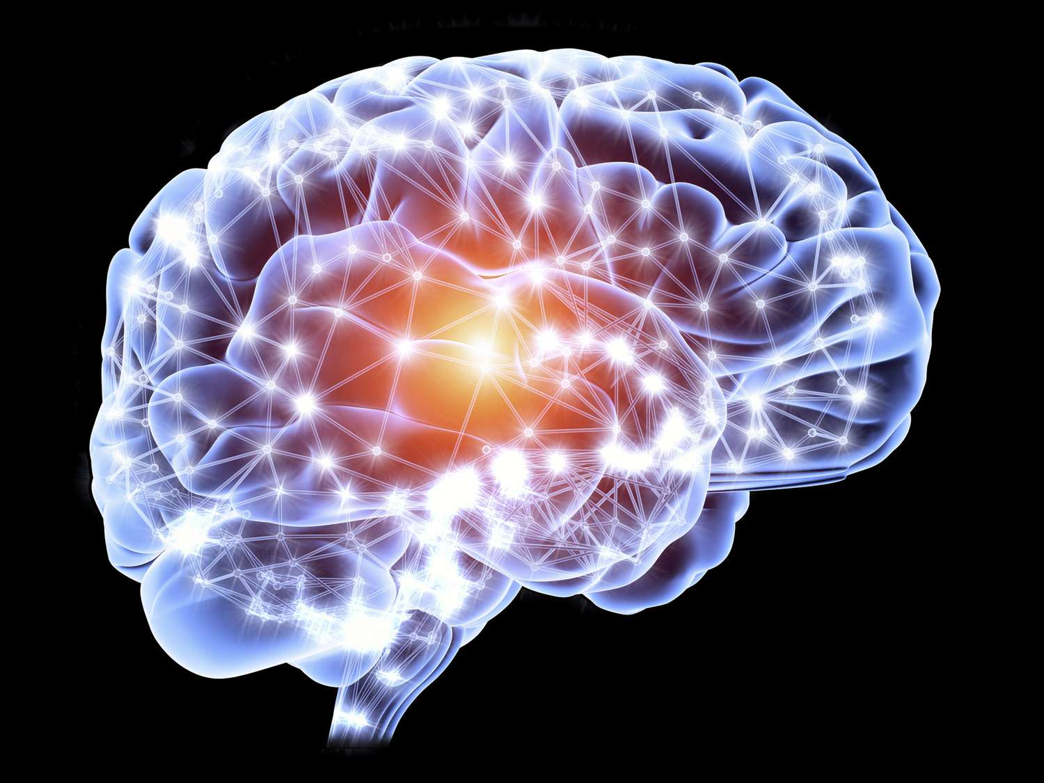 GROWN UP BRAIN